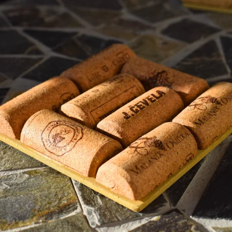 Korkový podtácek_clash (1).jpg